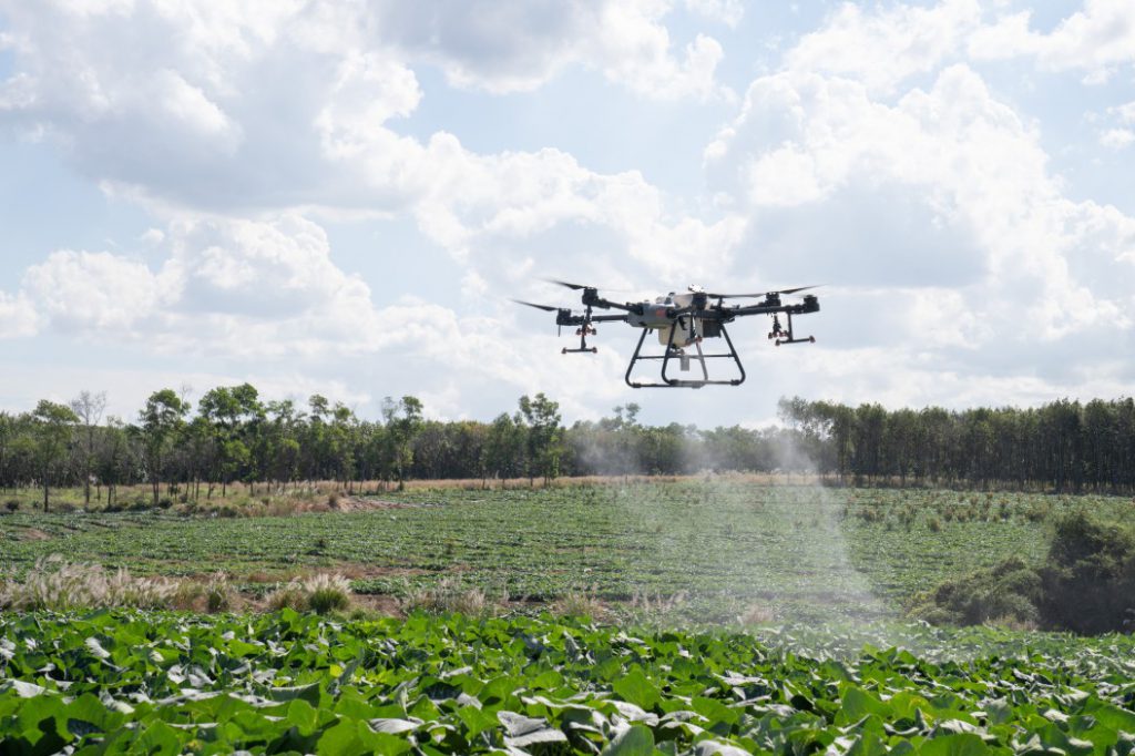 Drónos Növénytáplálás